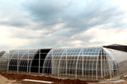 Ukraine’s Largest Greenhouse Complex to Open in Ternopil Region in September