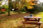 The picturesque nooks of Cambridge University