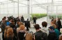 Dmitry Firtash, investor in DF Agro greenhouse complex at a press-briefing