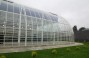 DF Agro – the most advanced greenhouse facility in Ukraine